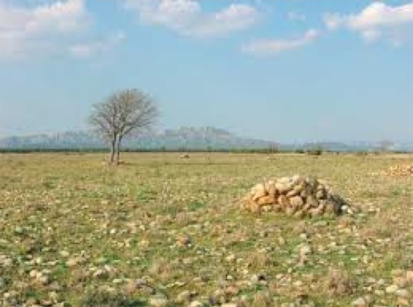 Collectif Vélos en Ville Marseille balade cycliste février 2015 Salon steppes La Crau