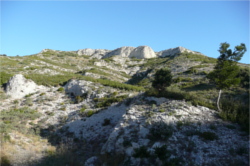 Les Alpilles près de Saint Rémy de Provence 5