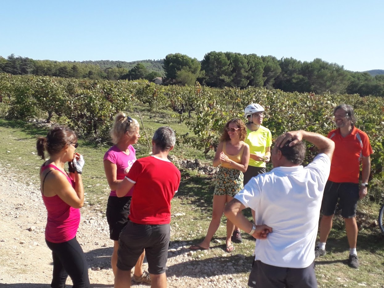 Pause raisin,  St-Cannat, vélo, bicyclette, balade, rando