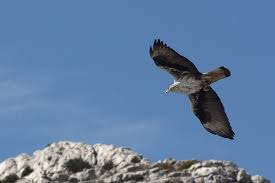 Collectif Vélos en Ville Marseille balade cycliste dimanche 1er mars