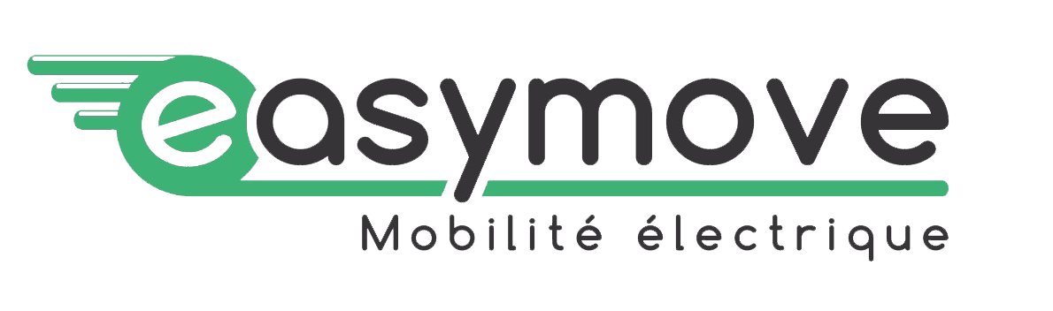 Logo Easymove detoure