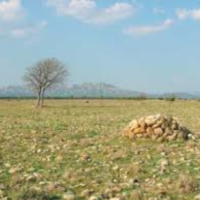 Balade cycliste du 1er février 2015 : Salon et steppes de La Crau - Collectif Vélos en Ville