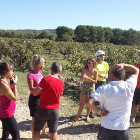 Retour sur la Randonnée vélo à l'étang de la Bonde  - Collectif Vélos en Ville